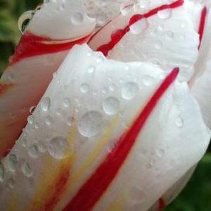 Meet your Posher, Marty